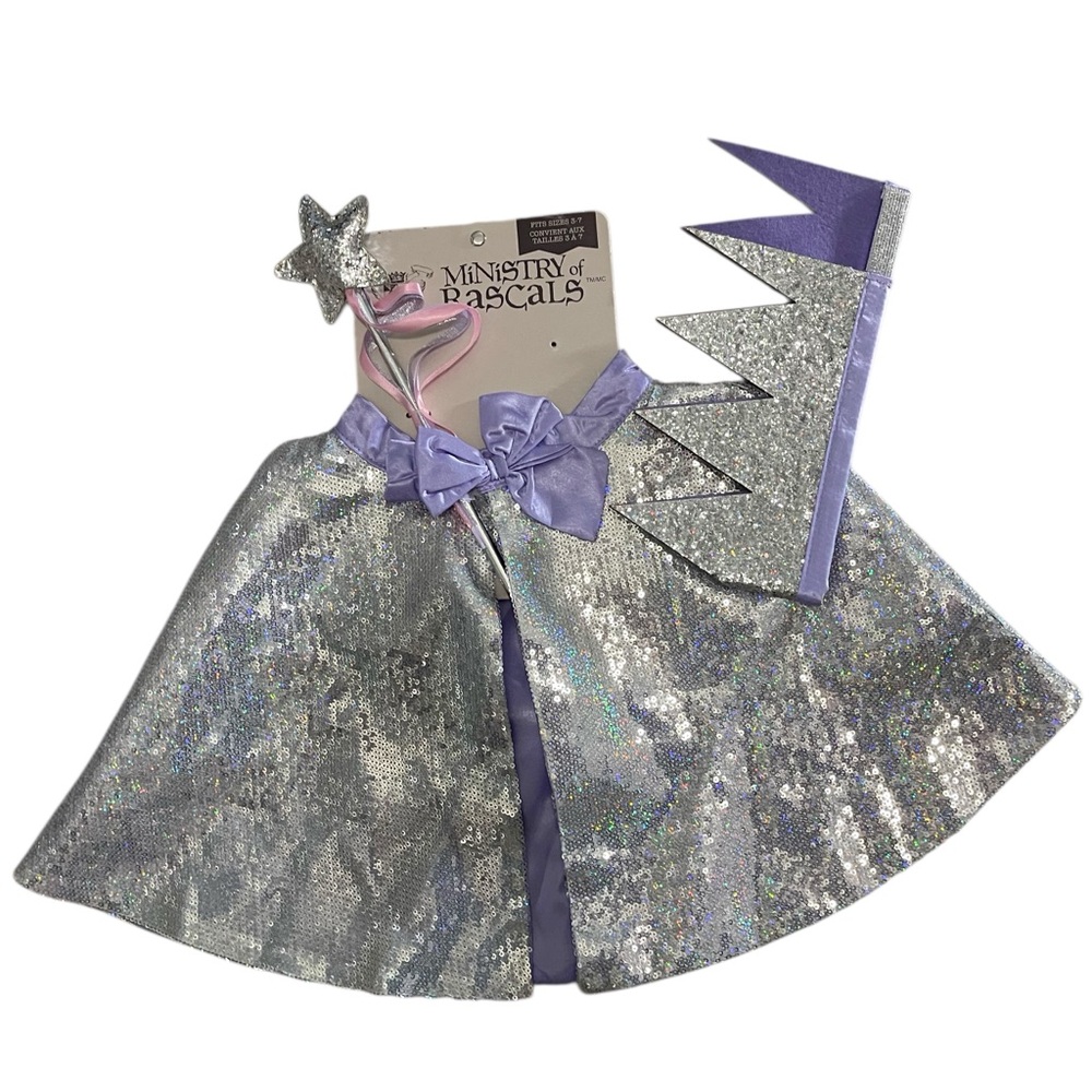 princess costume Ministry of Rascal Princess Halloween Costume Accessory Kit